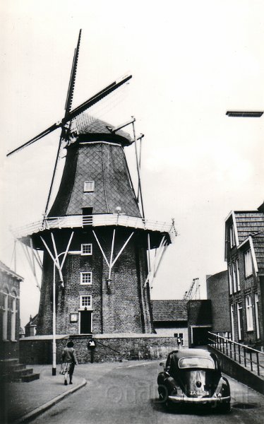 Molen Adam in de jaren 1950.jpg